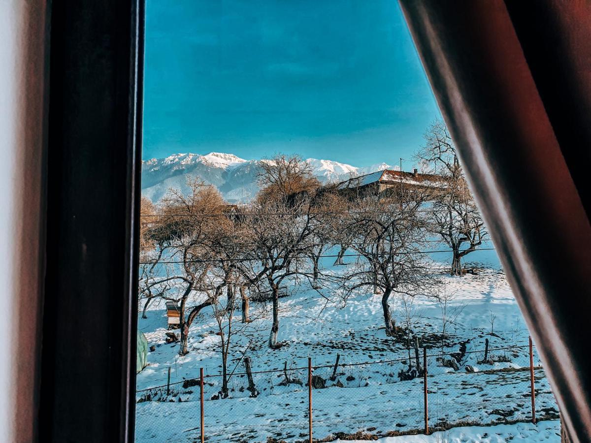 Transylvania Mountain View Cdi ブラン エクステリア 写真
