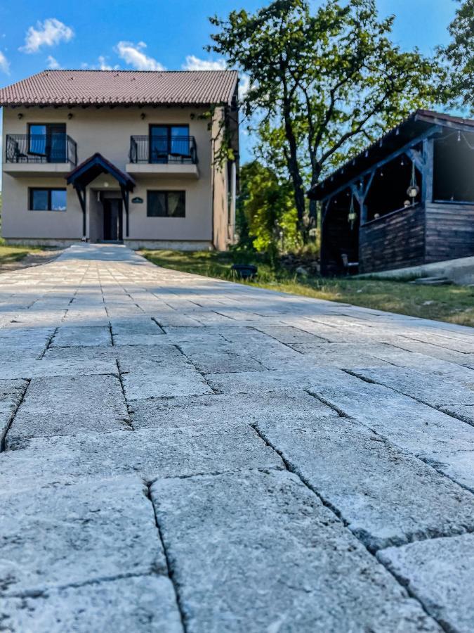 Transylvania Mountain View Cdi ブラン エクステリア 写真
