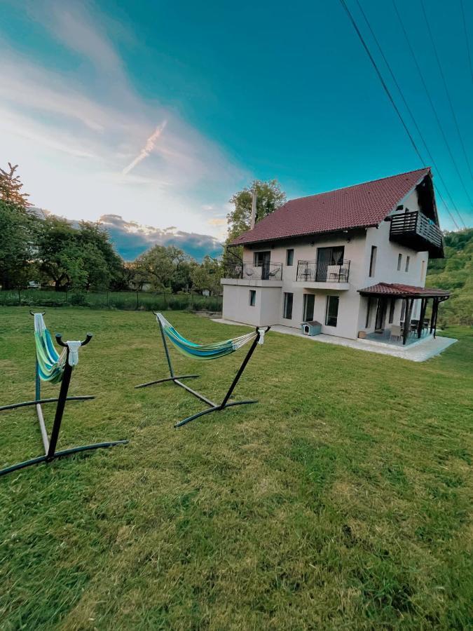 Transylvania Mountain View Cdi ブラン エクステリア 写真
