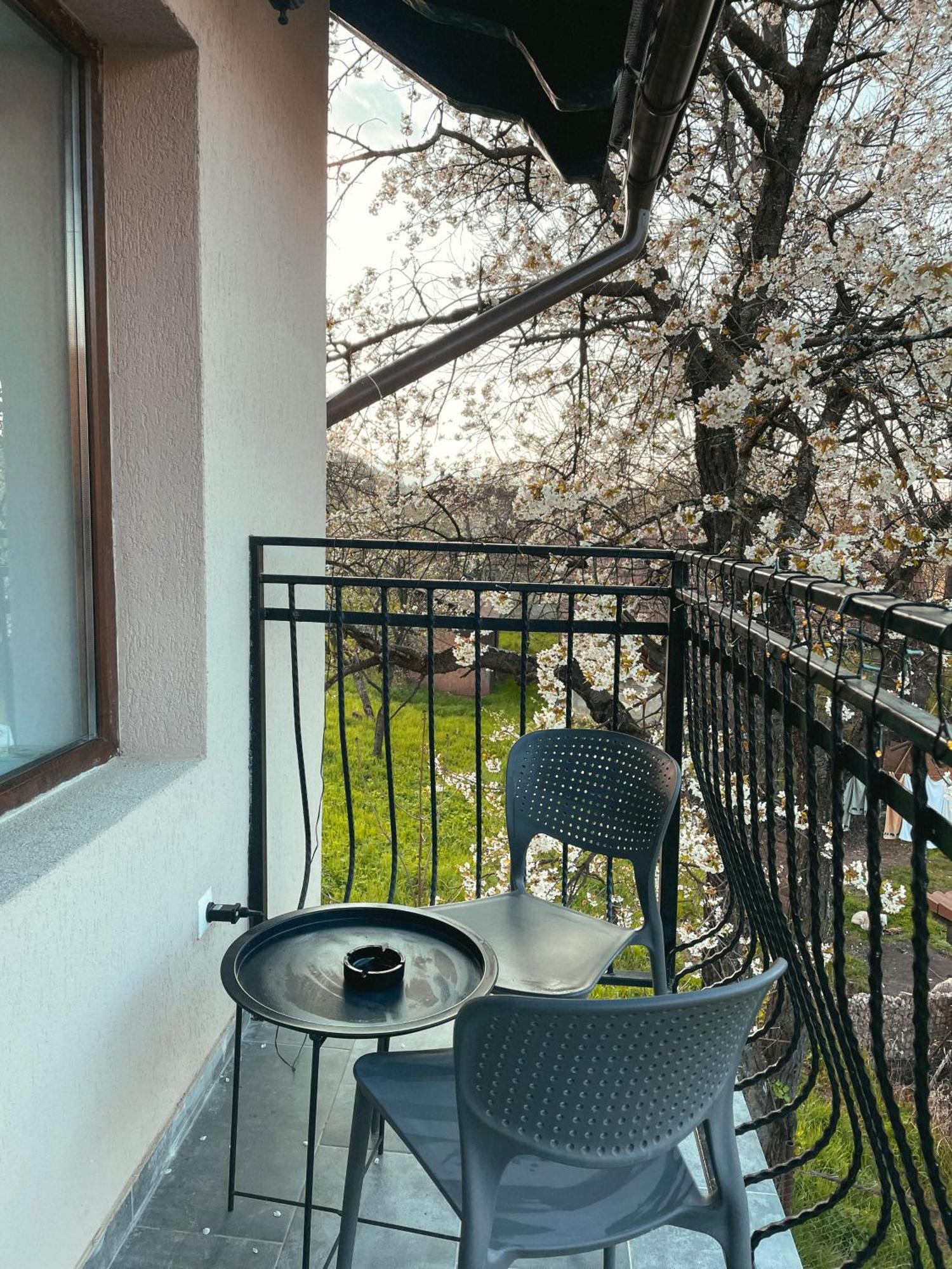 Transylvania Mountain View Cdi ブラン 部屋 写真