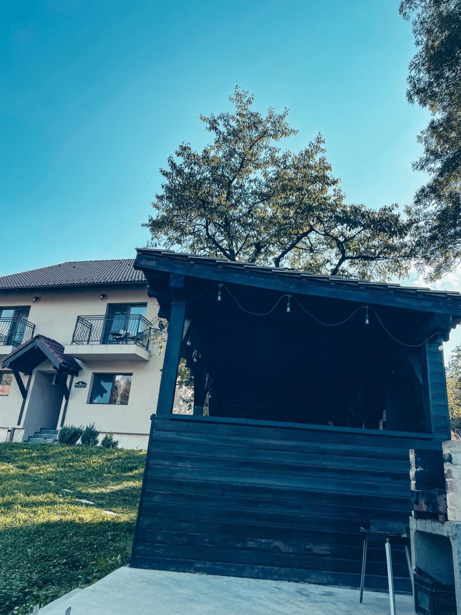 Transylvania Mountain View Cdi ブラン エクステリア 写真